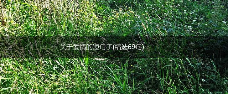 关于爱情的短句子(精选69句),第1张