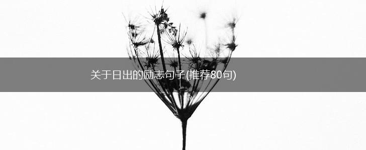 关于日出的励志句子(推荐80句),第1张