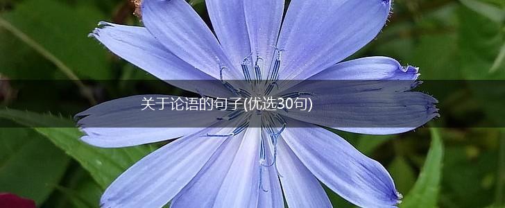 关于论语的句子(优选30句),第1张