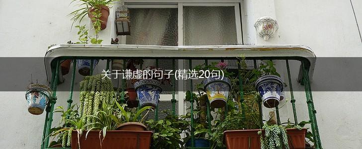 关于谦虚的句子(精选20句),第1张