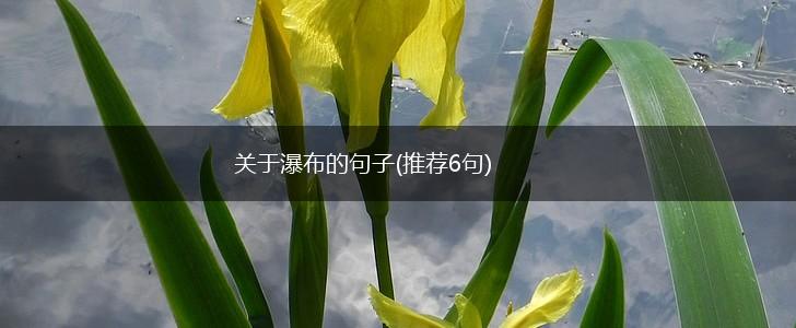 关于瀑布的句子(推荐6句),第1张