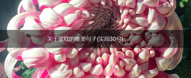 关于蛋糕的唯美句子(实用30句),第1张