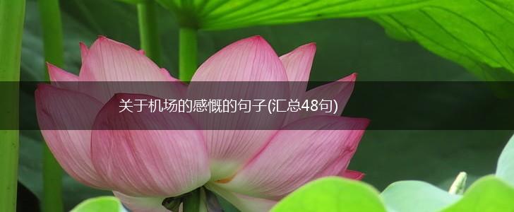 关于机场的感慨的句子(汇总48句),第1张