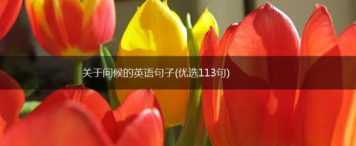 关于问候的英语句子(优选113句),第1张