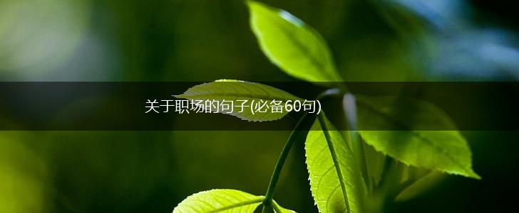 关于职场的句子(必备60句),第1张