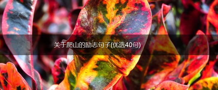 关于爬山的励志句子(优选40句),第1张