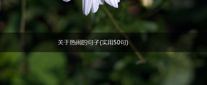 关于热闹的句子(实用50句),第1张