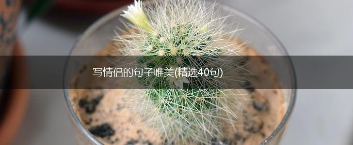 写情侣的句子唯美(精选40句),第1张