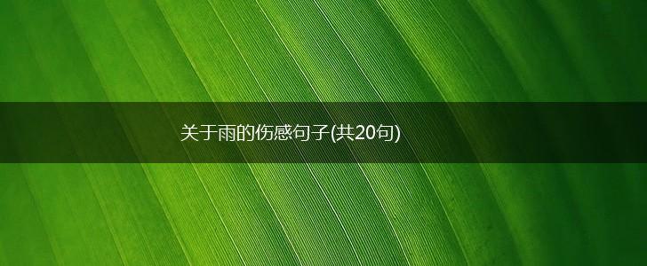 关于雨的伤感句子(共20句),第1张