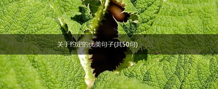 关于约定的优美句子(共50句),第1张