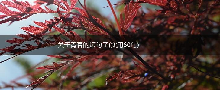 关于青春的短句子(实用60句),第1张