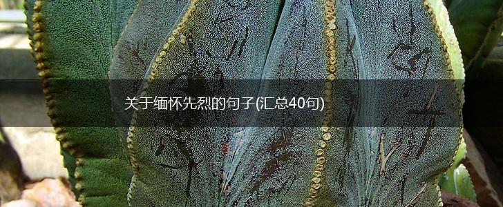 关于缅怀先烈的句子(汇总40句),第1张