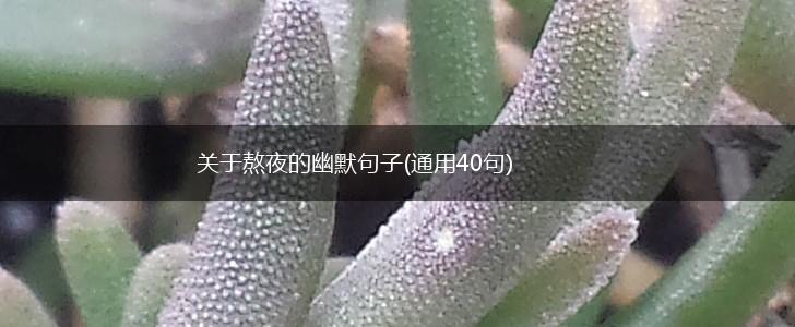 关于熬夜的幽默句子(通用40句),第1张