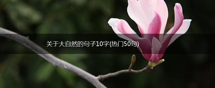 关于大自然的句子10字(热门50句),第1张
