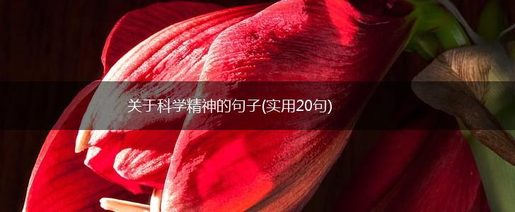 关于科学精神的句子(实用20句),第1张