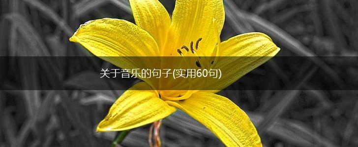 关于音乐的句子(实用60句),第1张