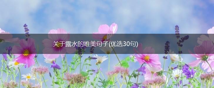 关于露水的唯美句子(优选30句),第1张