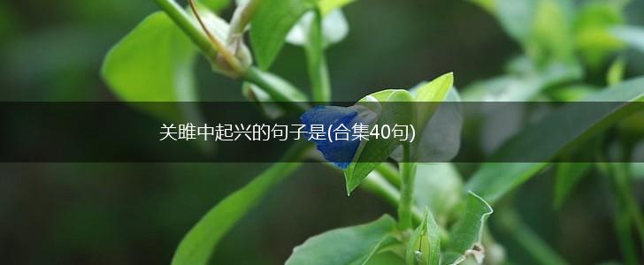 关雎中起兴的句子是(合集40句),第1张