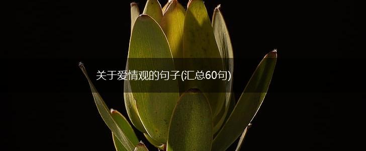 关于爱情观的句子(汇总60句),第1张