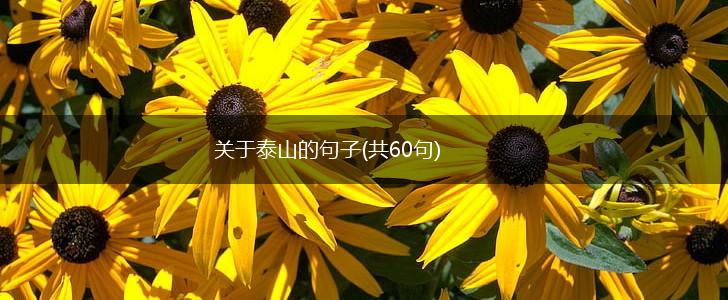 关于泰山的句子(共60句),第1张