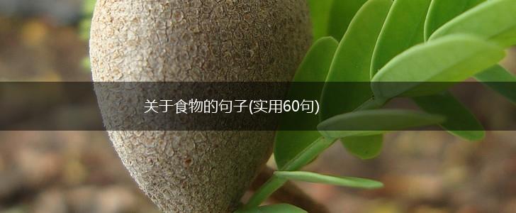 关于食物的句子(实用60句),第1张
