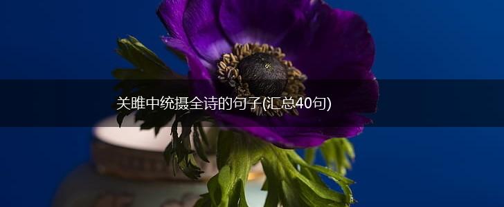 关雎中统摄全诗的句子(汇总40句),第1张