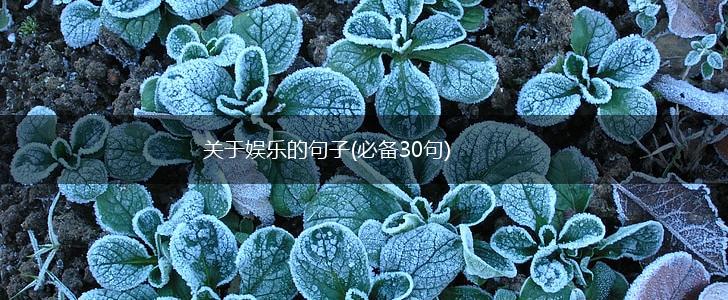 关于娱乐的句子(必备30句),第1张