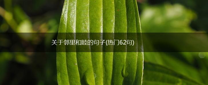 关于邻里和睦的句子(热门62句),第1张