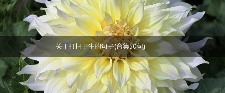 关于打扫卫生的句子(合集50句),第1张