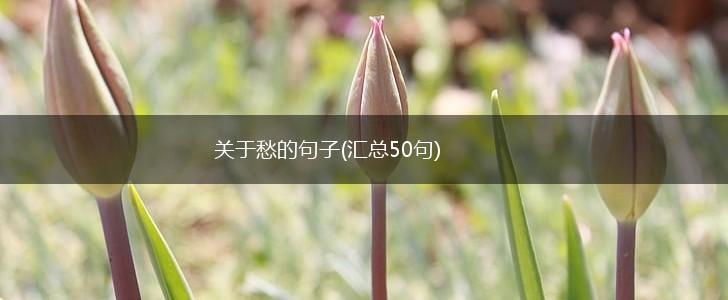 关于愁的句子(汇总50句),第1张