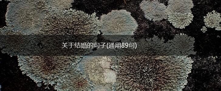 关于结婚的句子(通用89句),第1张