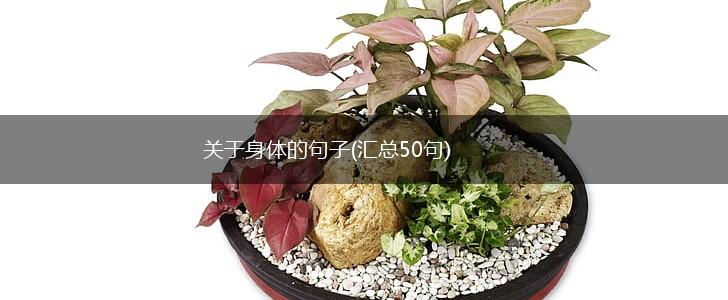 关于身体的句子(汇总50句),第1张