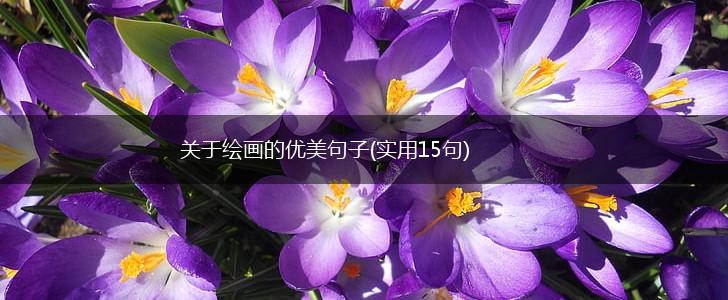 关于绘画的优美句子(实用15句),第1张