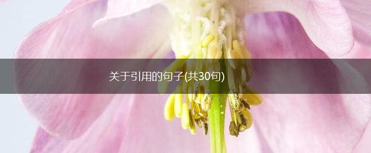 关于引用的句子(共30句),第1张