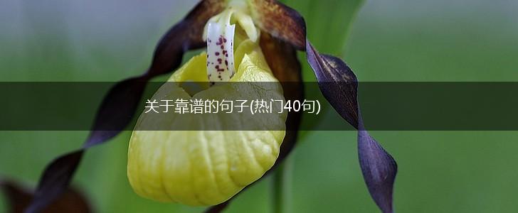 关于靠谱的句子(热门40句),第1张