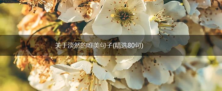 关于淡然的唯美句子(精选80句),第1张