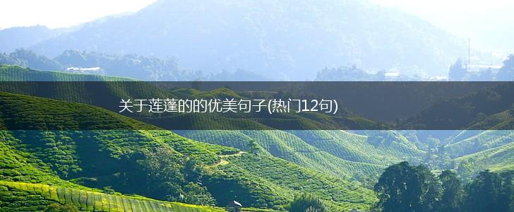 关于莲蓬的的优美句子(热门12句),第1张