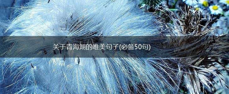 关于青海湖的唯美句子(必备50句),第1张