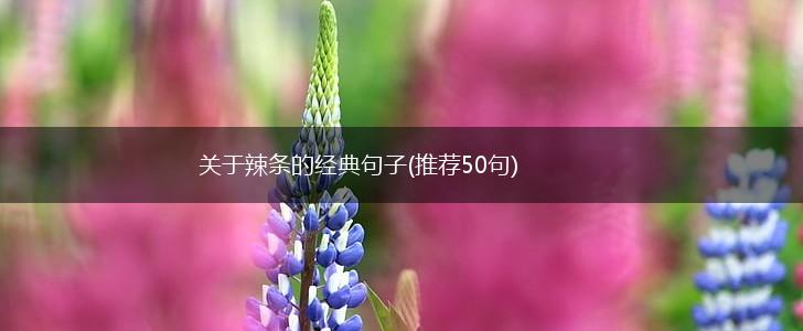关于辣条的经典句子(推荐50句),第1张