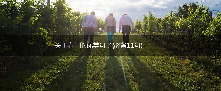关于春节的优美句子(必备11句),第1张