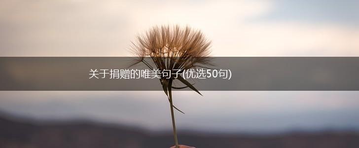 关于捐赠的唯美句子(优选50句),第1张