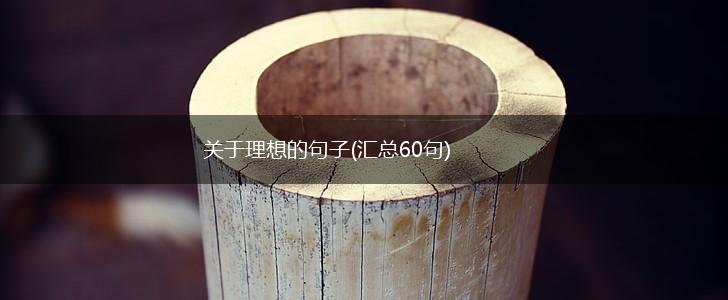 关于理想的句子(汇总60句),第1张