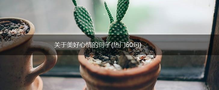 关于美好心情的句子(热门60句),第1张