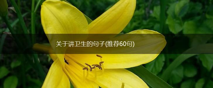 关于讲卫生的句子(推荐60句),第1张
