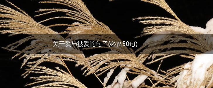 关于爱与被爱的句子(必备50句),第1张