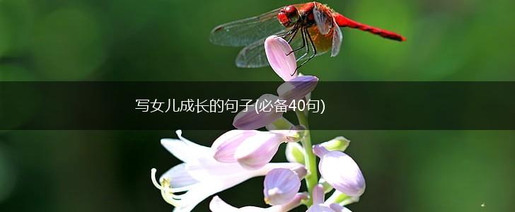 写女儿成长的句子(必备40句),第1张