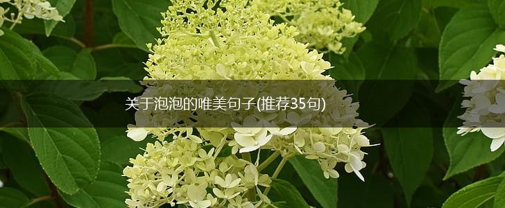关于泡泡的唯美句子(推荐35句),第1张