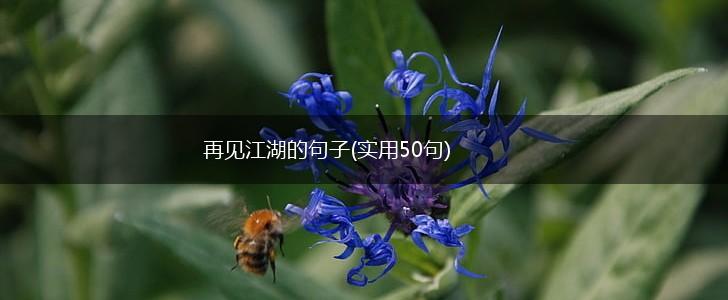 再见江湖的句子(实用50句),第1张