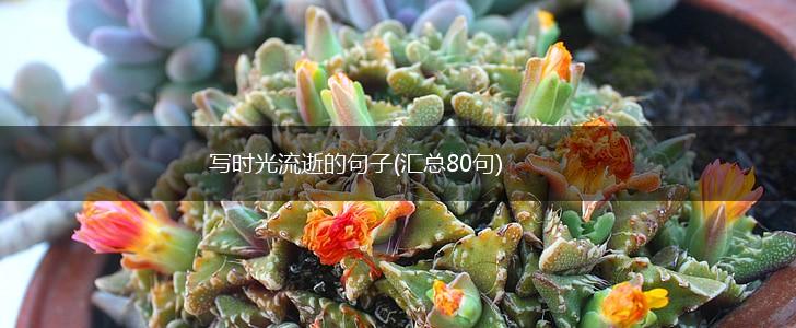 写时光流逝的句子(汇总80句),第1张