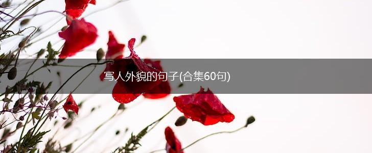 写人外貌的句子(合集60句),第1张